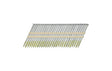 Metabo HPT 3-1/4 in. L Plastic Strip Hot-Dip Galvanized Framing Nails 21 deg 2000 pk