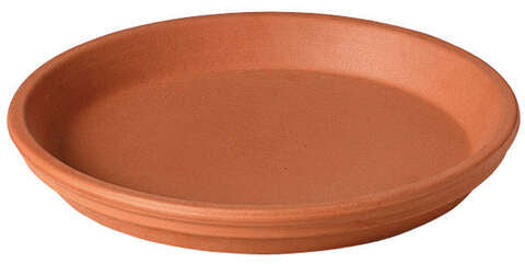 Deroma 6 in. D Clay Traditional Plant Saucer Terracotta, Pack of 20