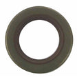 C/S SEAL OMC 313992  55-230