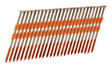 Metabo HPT 3 in. L Plastic Strip Hot-Dip Galvanized Framing Nails 21 deg 4,000 pk