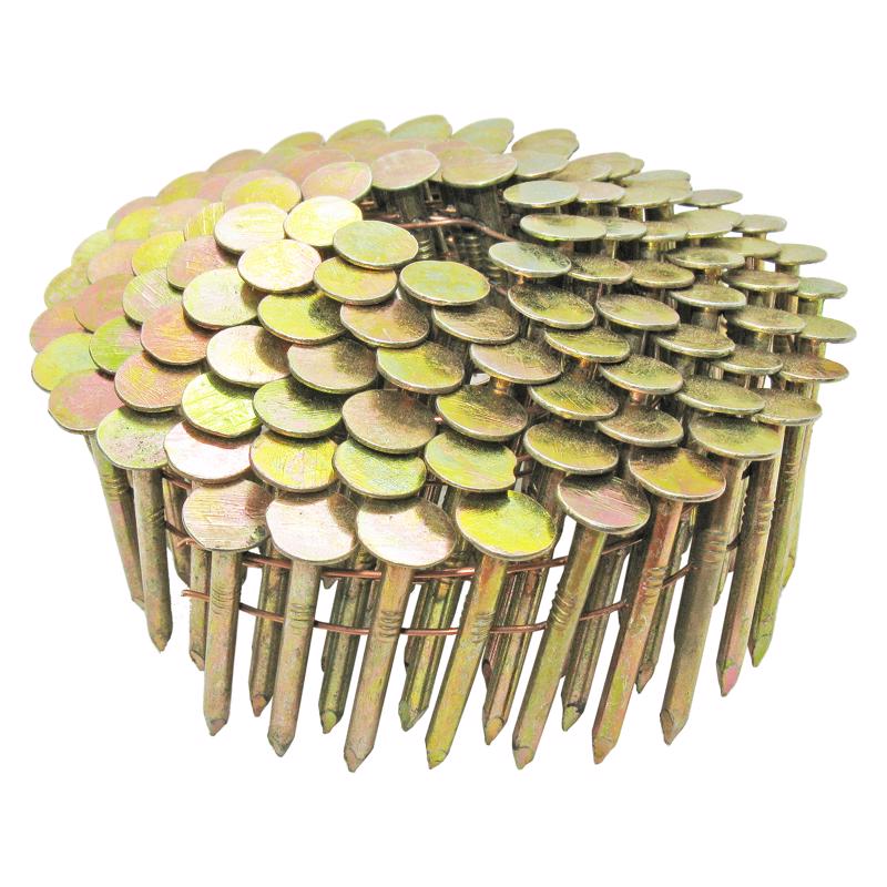 Grip-Rite 7/8 in. L X 11 Ga. Angled Strip Electro Galvanized Roofing Nails 15 deg 7200 pk