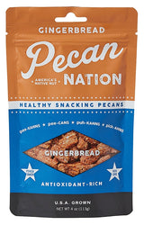 Pecan Nation PNGB4.8.12 Snack, Gingerbread Flavor, 4 oz Pouch, Pack of 8