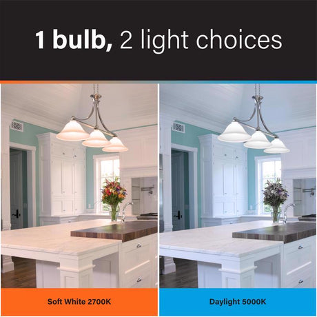 Feit A19 E26 (Medium) LED Bulb Color Changing 60 Watt Equivalence 1 pk