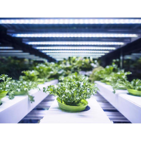 Feit Grow Fixtures Hydroponic Grow Light 54 W