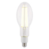 Westinghouse ED28 E26 (Medium) Filament LED Bulb Daylight 300 Watt Equivalence 1 pk