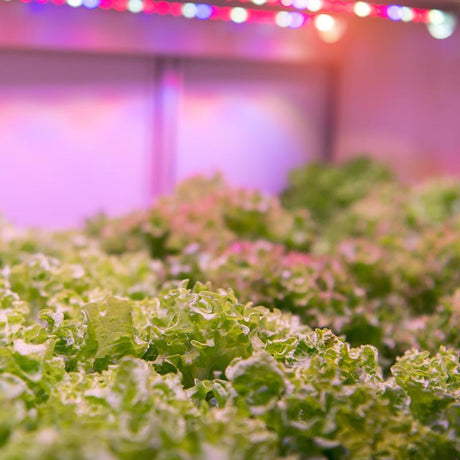 Feit Grow Fixtures LED Hydroponic Grow Light 19 W