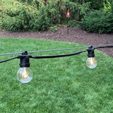 Belle Luci Holiday Bright Lights LED Black Light Cord on Reel Clear 330 ft. 0 lights