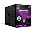 Feit PAR38 E26 (Medium) LED Bulb Purple 90 Watt Equivalence 1 pk, Pack of 4
