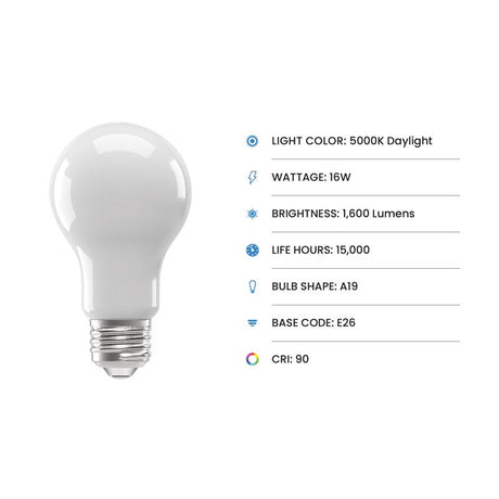 Feit A19 E26 (Medium) LED Bulb Daylight 100 Watt Equivalence 4 pk