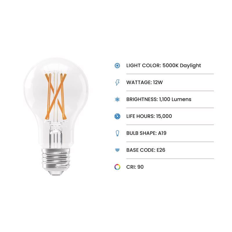 Feit A19 E26 (Medium) Filament LED Bulb Daylight 100 Watt Equivalence 4 pk