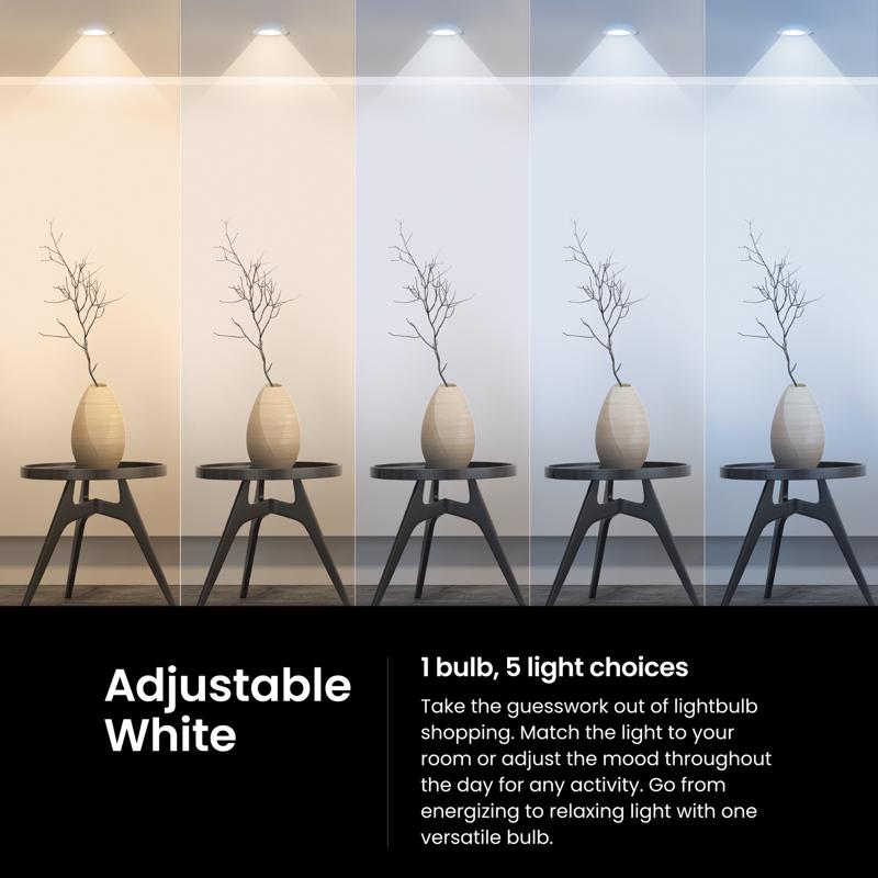 Feit PAR30 E26 (Medium) LED Bulb Adjustable White 75 Watt Equivalence 1 pk
