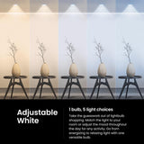 Feit PAR30 E26 (Medium) LED Bulb Adjustable White 75 Watt Equivalence 1 pk