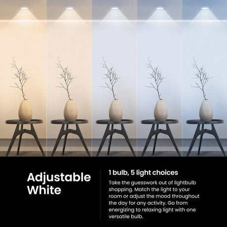 Feit PAR30 E26 (Medium) LED Bulb Adjustable White 75 Watt Equivalence 1 pk