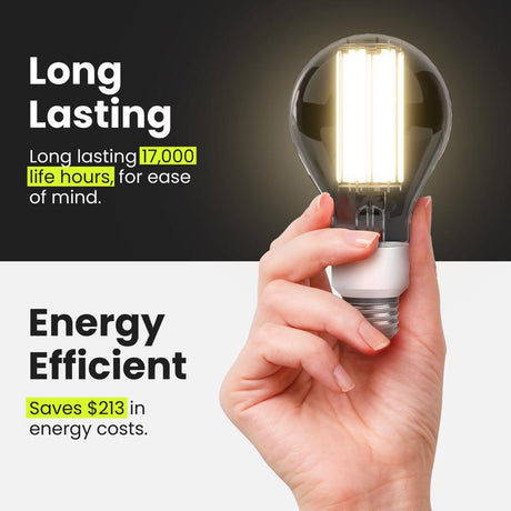 Feit A23 E26 (Medium) Filament LED Bulb Bright White 300 Watt Equivalence 1 pk