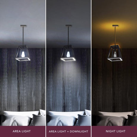 Feit Matte Black 1 lights Pendant Light