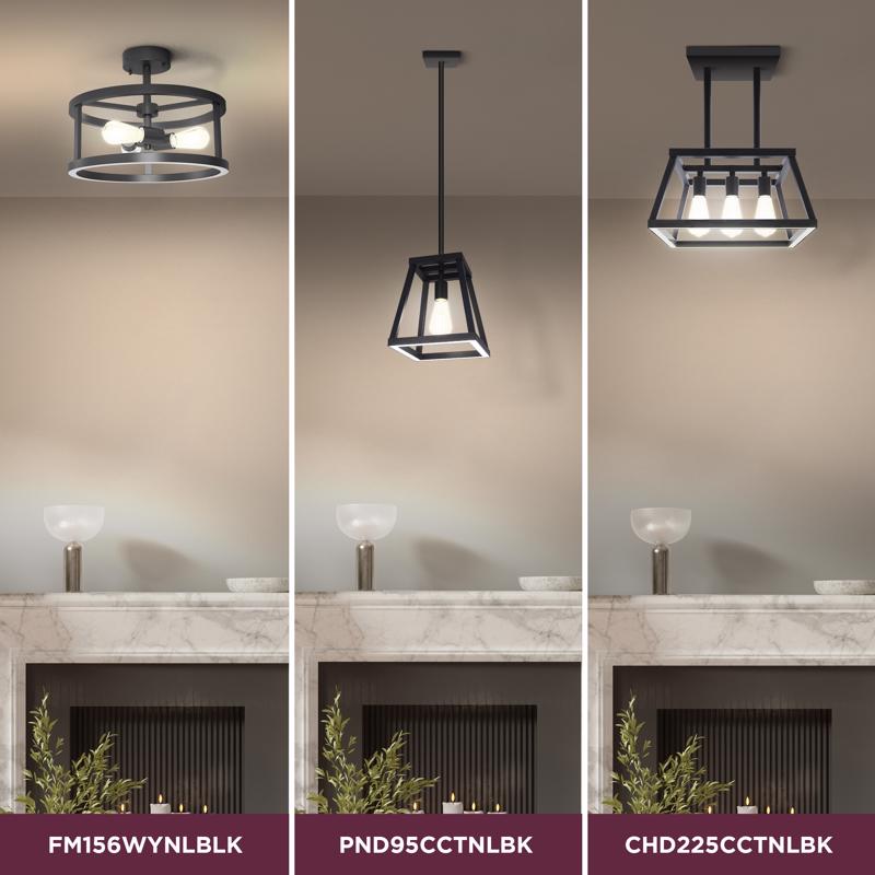 Feit Matte Black 1 lights Pendant Light