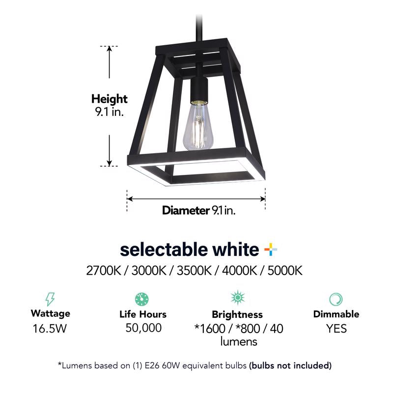 Feit Matte Black 1 lights Pendant Light