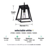 Feit Matte Black 1 lights Pendant Light