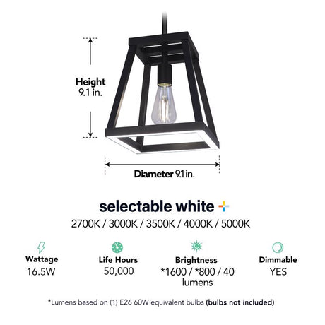 Feit Matte Black 1 lights Pendant Light