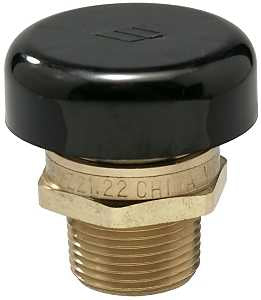 Watts LFN36 Series 0951263 Vacuum Relief Valve, Brass
