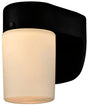 Westinghouse 6106700 Wall Fixture with Dusk-to-Dawn Sensor, 8 W, 120 V, LED, 620 Lumens, 3000 K, Plastic, Black