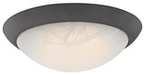 Westinghouse 6308900 Ceiling Light Fixture, 120 V, 15 W, 1-Lamp, LED Lamp, 1000 Lumens Lumens, 3000 K Color Temp