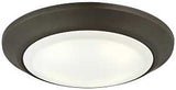 Westinghouse 6322800 Ceiling Light Fixture, 120 V, 15 W, LED Lamp, 1050 Lumens Lumens, 3000 K Color Temp, Steel Fixture