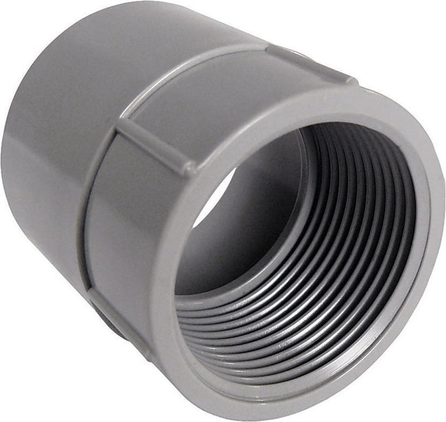 Cantex 3 in. D PVC Female Adapter For PVC 1 pk