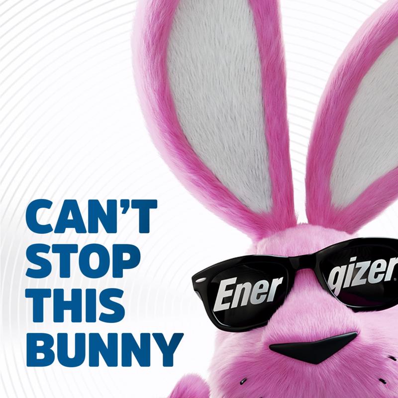 Energizer Ultimate Performance Lithium AA 1.5 V Camera Battery L91BP-4 4 pk