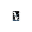 Taylor Lifeline Fender Clips For 3/16" to 1/4" Rope (2 per pack)