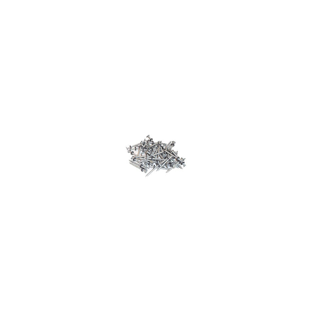 Taylor 96028 Galvanized #6 Nails w/Washers 1/8# 12/Cd
