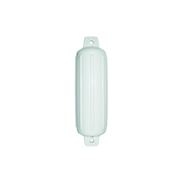 Taylor 262300 Storm Gard Fender, 6.5″ x 22″, White
