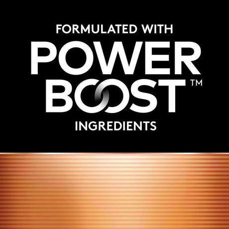 Duracell Coppertop AA Alkaline Batteries 10 pk Carded
