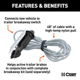 Curt 52021 Replacement Breakaway Switch Lanyard, Steel, Clear Coat