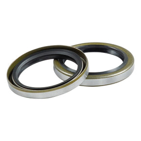 Lippert 2023134653 Double Lip Grease Seal Kit