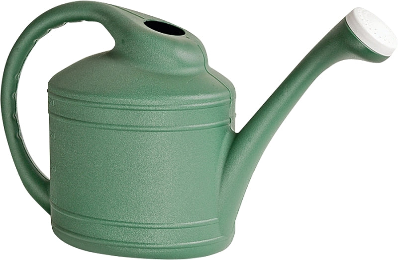 Southern Patio WC8108FE Watering Can, 2 gal Can, Resin, Fern