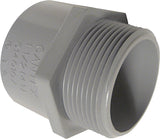 Cantex 1-1/4 in. D PVC Male Adapter For PVC 1 pk