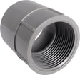 Cantex 2-1/2 in. D PVC Female Adapter For PVC 1 pk