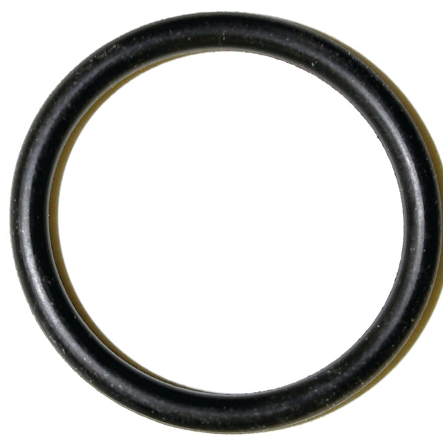 Danco 35776B Faucet O-ring, #62, 5/16 in ID x 1-1/8 in OD Dia, 3/32 in Thick, Rubber, Pack of 5