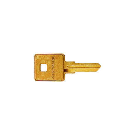 KEY FOR T507 (14264-03)