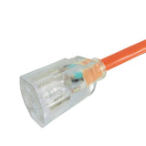 Projex Indoor or Outdoor 50 ft. L Orange Extension Cord 12/3 SJTW, Pack of 2