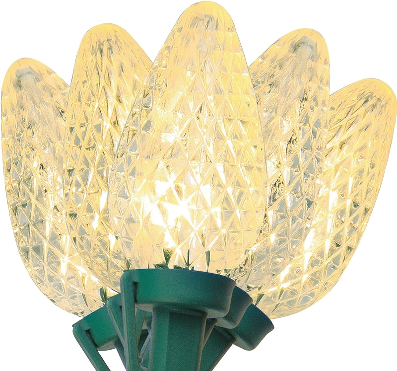 Sylvania V47659-49 Light Set, Christmas, 120 V, 2.4 W, 25-Lamp, LED Lamp, Warm White Lamp, 17 ft L