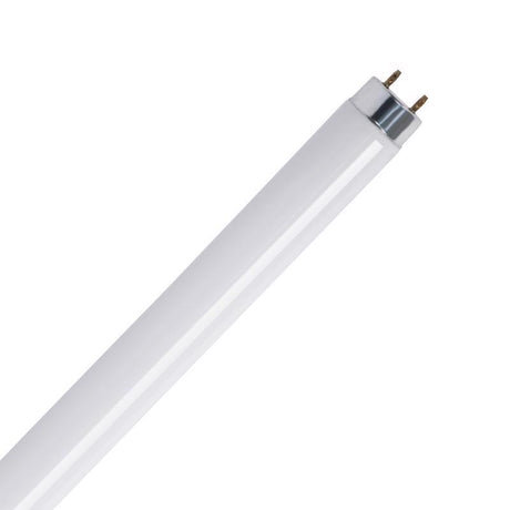 Feit Legacy Bulbs 15 W T8 1.1 in. D X 17.7 in. L Fluorescent Bulb Cool White Linear 4100 K 1 pk, Pack of 6