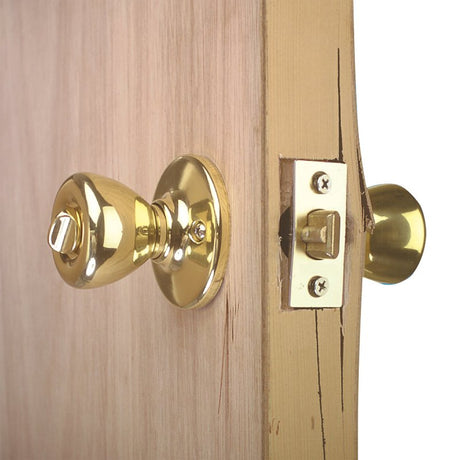 Prime-Line U 9549 Lock and Door Reinforcer, 2-3/4 in Backset, 1-3/8 in Thick Door, Brass, Bright Brass, 9 in H
