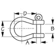 Sea-Dog 147228 Stainless Captive Bow Shackle, 5/16", Bulk