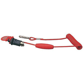 Replacement Lanyard