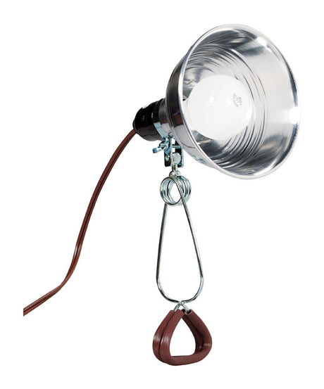 Projex 6.5 in. 60 W Incandescent Clamp Lamp, Pack of 6