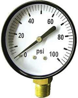 Green Leaf SG 100 1PK Pressure Gauge, Standard