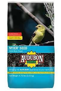 Audubon Park 12222 Nyjer Seed, 4.75 lb