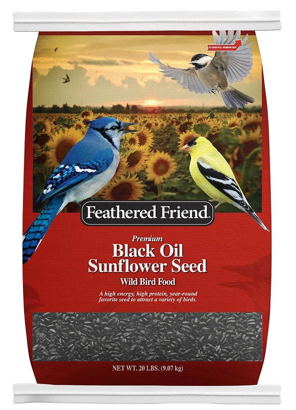 Feathered Friend 14421 Black Oil Sunflower Seed Wild Bird Food, Straight, Seed, 20 lb Bag